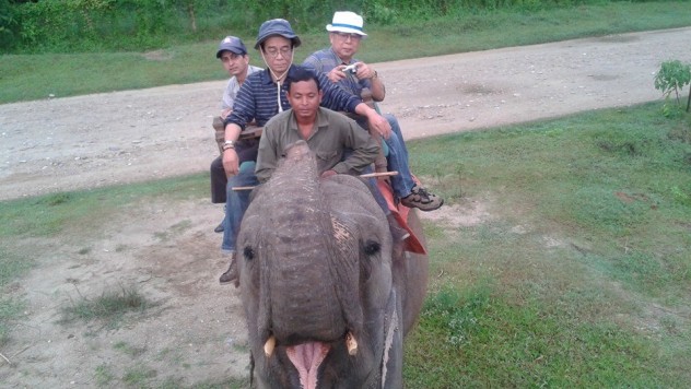 Kathmandu Chitwan National Park and Nogarkot Tours-8 Days