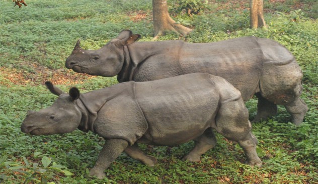 Chitwan National Park Tour 7 Nights – 8 Days