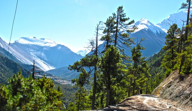 Mountain Hotspring Tour 11 days