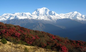 Ghorepani Circuit via Hot Spring Trek