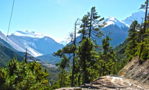Mountain Hotspring Tour
