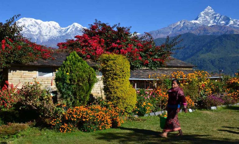 Dashain festival